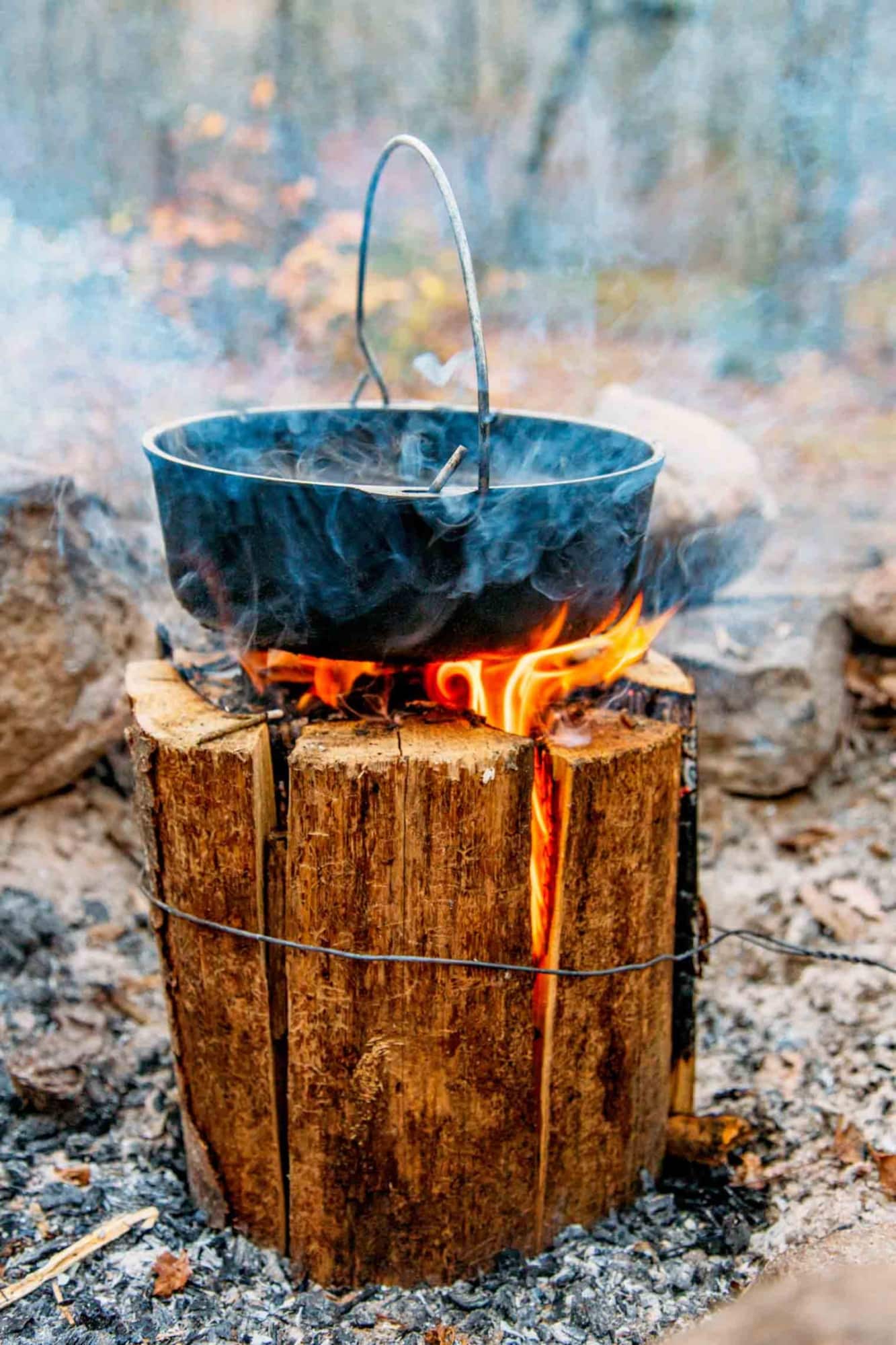log stove fire