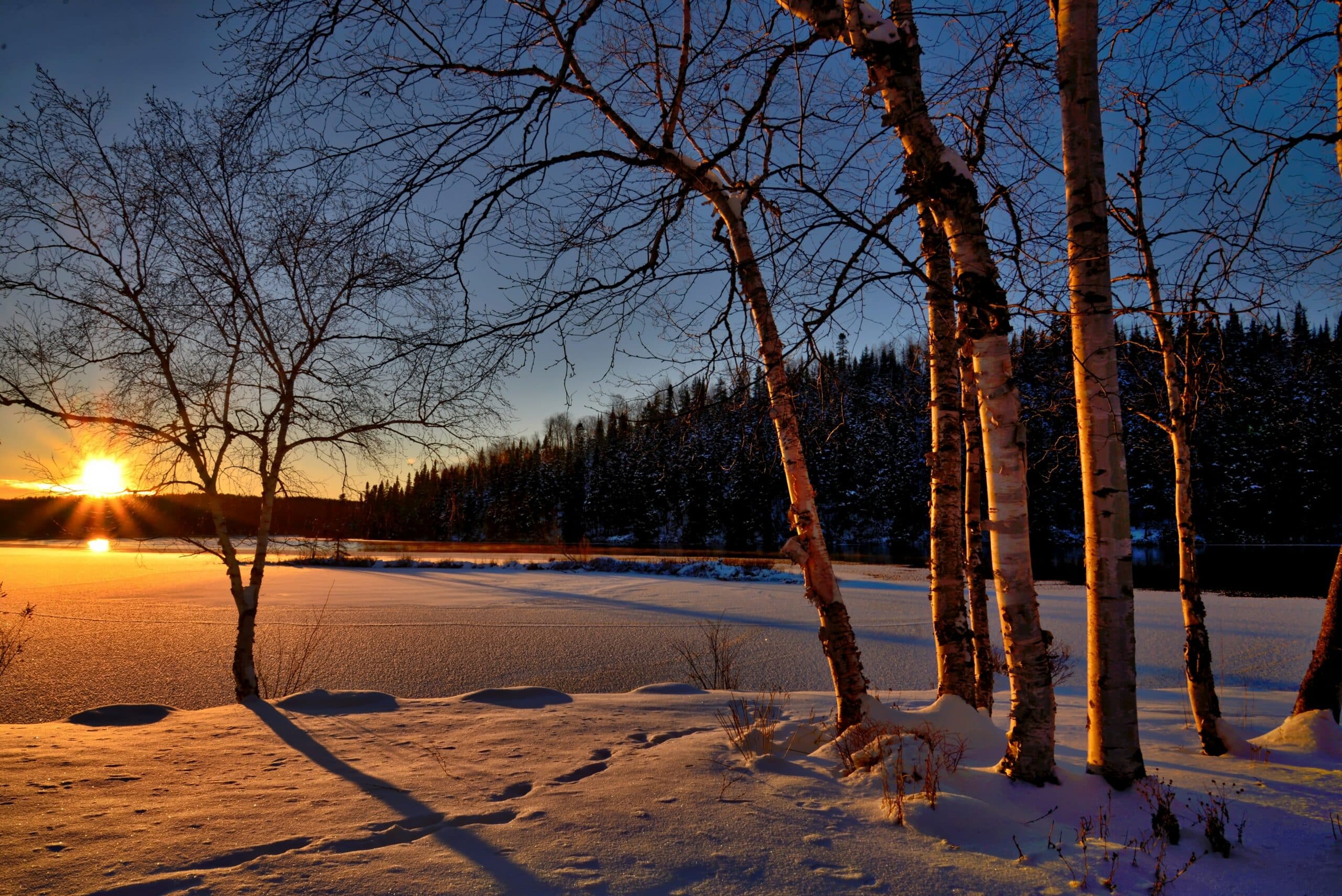 winter nature landscape